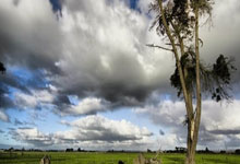 米兰体育,-瓦伦西亚逆袭取胜，终结连败